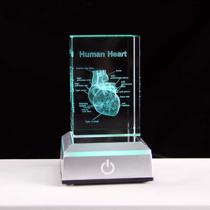 Model Organ ukiran Laser 3D, p - Paper Weight Crystal ulasan dan harga
