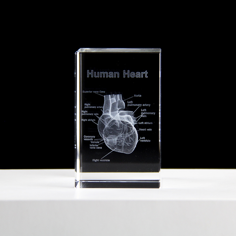 Model Organ ukiran Laser 3D, p - Paper Weight Crystal ulasan dan harga