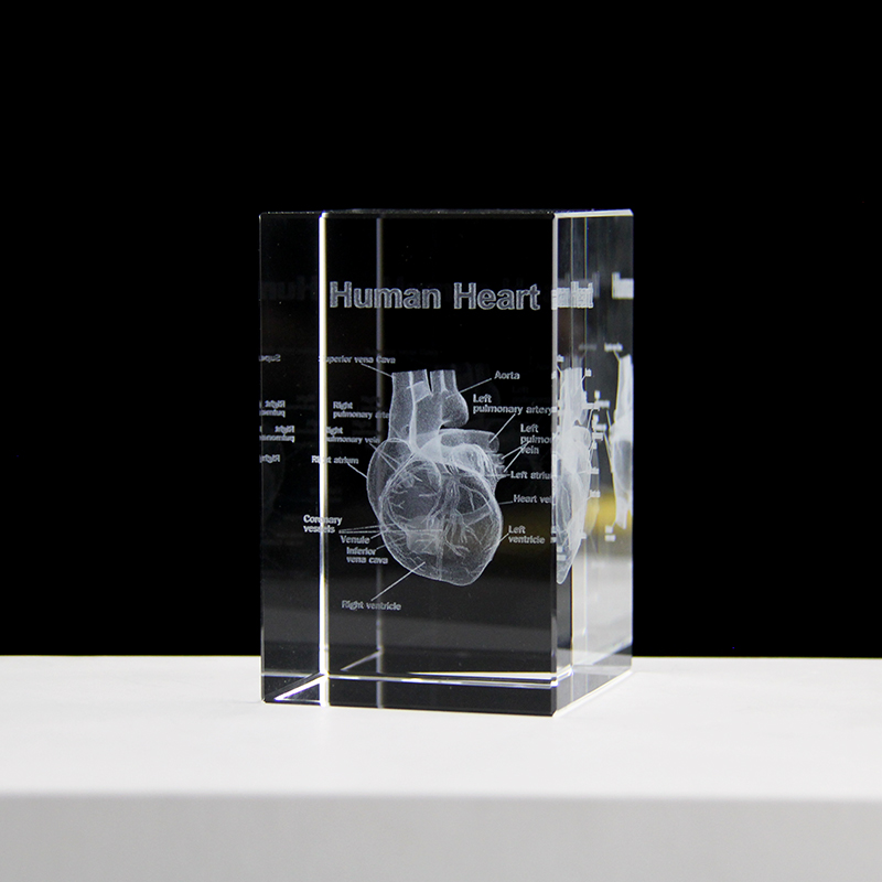 Model Organ ukiran Laser 3D, p - Paper Weight Crystal ulasan dan harga