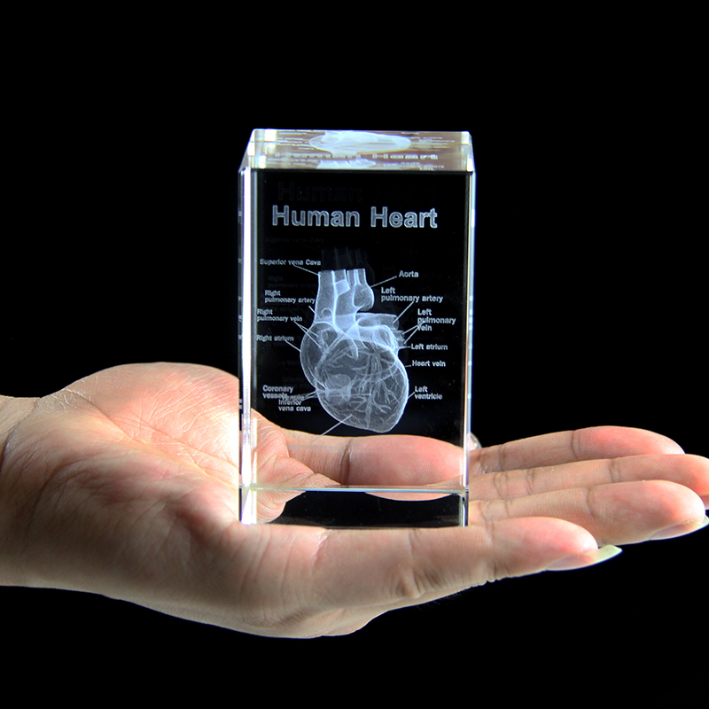 Model Organ ukiran Laser 3D, p - Paper Weight Crystal ulasan dan harga